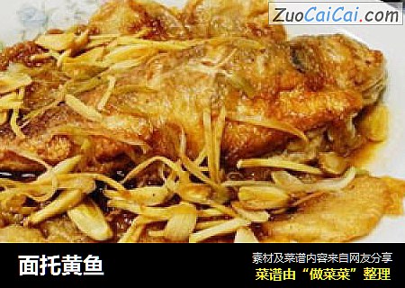 面托黄鱼