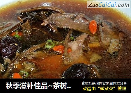 秋季滋补佳品~茶树菇鸽子汤