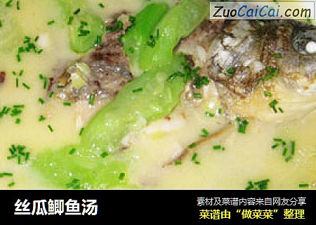 丝瓜鲫鱼汤
