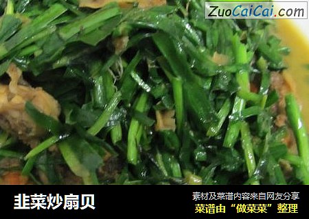 韭菜炒扇贝