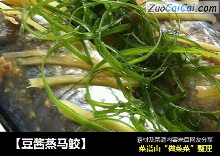 ［豆酱蒸马鲛］