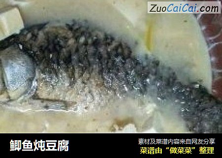 鲫鱼炖豆腐