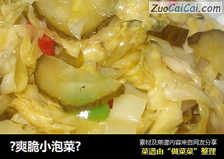 ?爽脆小泡菜?