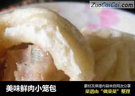 美味鲜肉小笼包