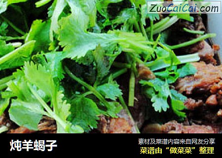 炖羊蝎子