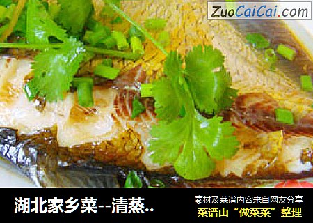 湖北家乡菜--清蒸武昌鱼