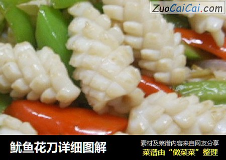 鱿鱼花刀详细图解