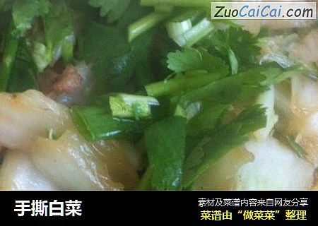 手撕白菜