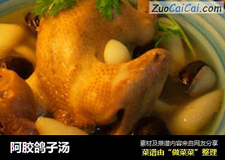 阿胶鸽子汤