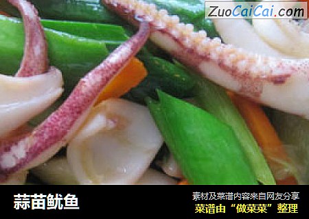 蒜苗鱿鱼