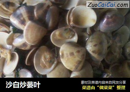沙白炒蒌叶