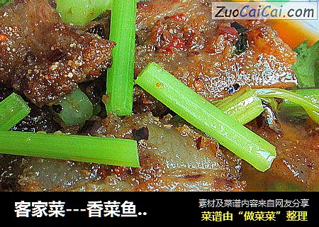 客家菜---香菜鱼香五花肉