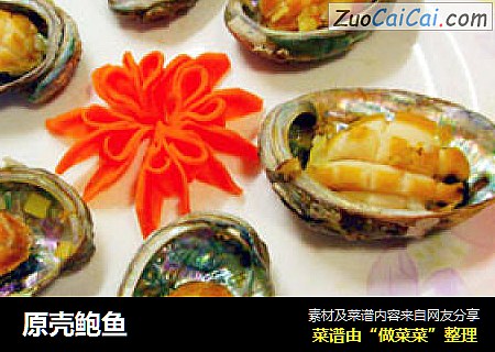 原壳鲍鱼