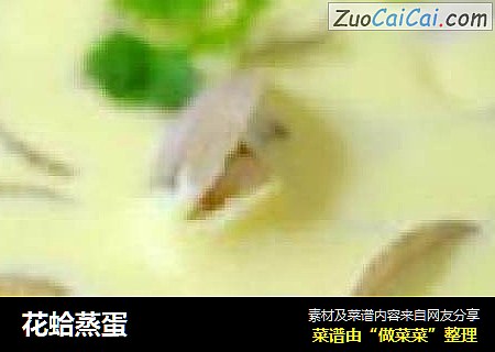 花蛤蒸蛋