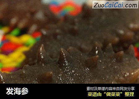 发海参