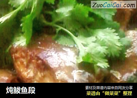 炖鲅鱼段