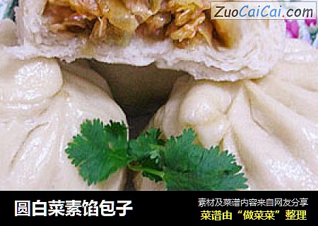 圆白菜素馅包子