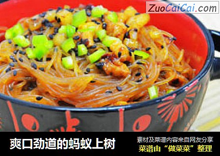爽口劲道的蚂蚁上树