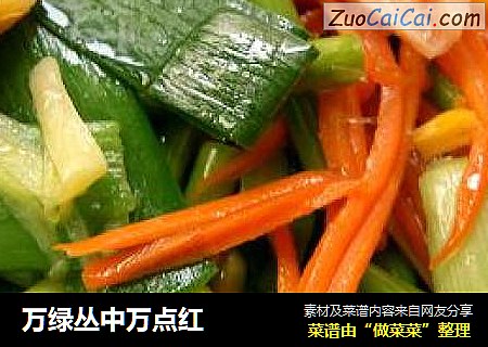万绿丛中万点红
