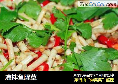 凉拌鱼腥草