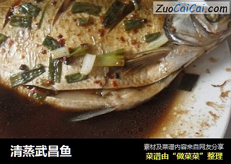 清蒸武昌鱼