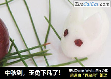 中秋到，玉兔下凡了！