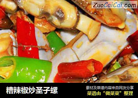 糟辣椒炒圣子螺