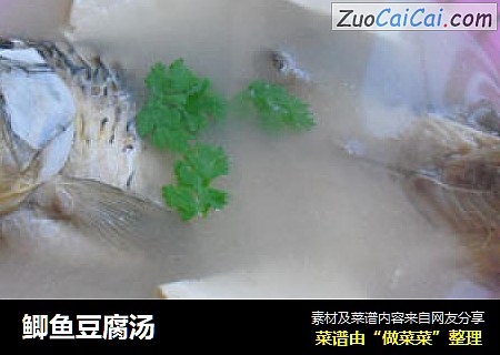 鲫鱼豆腐汤