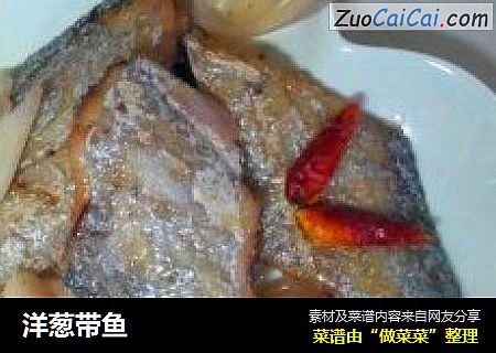 洋葱带鱼