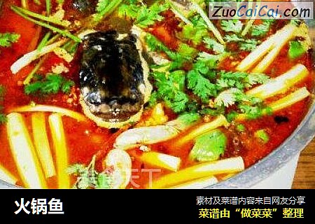 火锅鱼