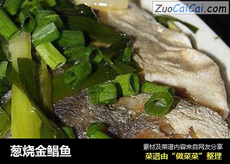 葱烧金鲳鱼