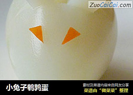 小兔子鹌鹑蛋