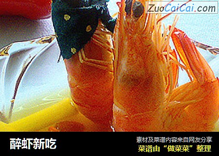 醉虾新吃