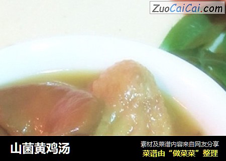 山菌黄鸡汤