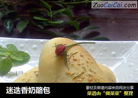 迷迭香奶酪包