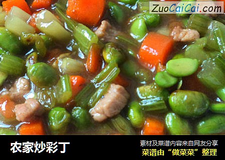 农家炒彩丁