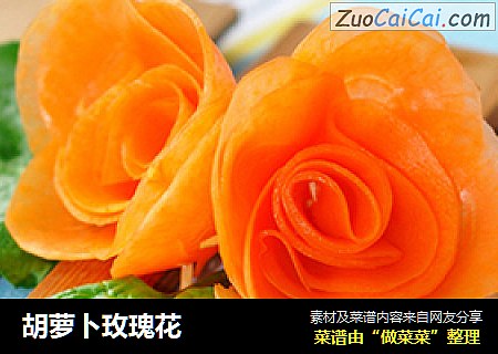 胡萝卜玫瑰花