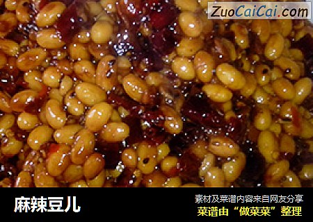 麻辣豆儿