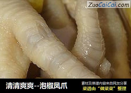 清清爽爽--泡椒凤爪