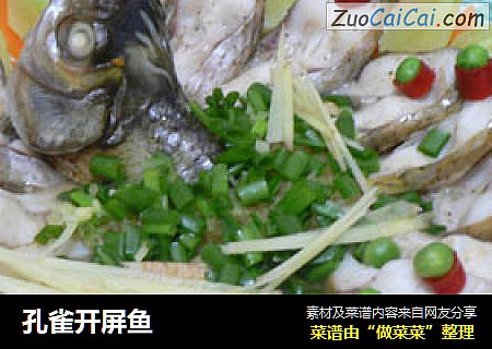 孔雀开屏鱼