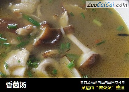 香菌汤