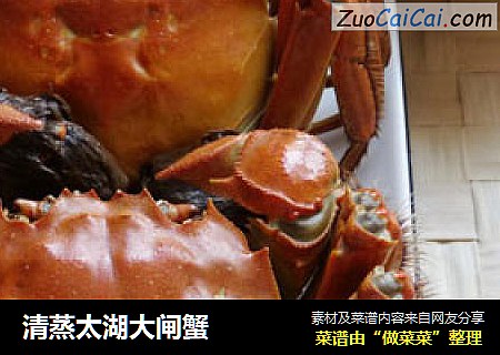 清蒸太湖大闸蟹