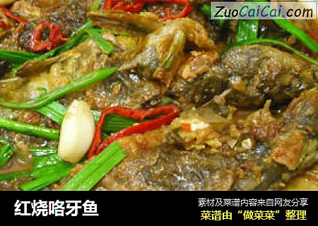 红烧咯牙鱼