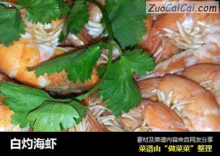 白灼海虾