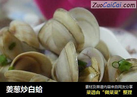 姜葱炒白蛤