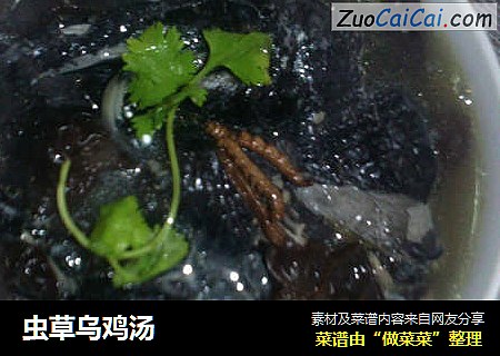 虫草乌鸡汤