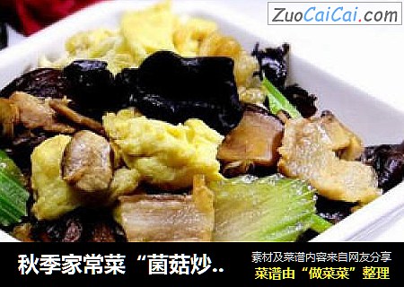 秋季家常菜“菌菇炒木樨”