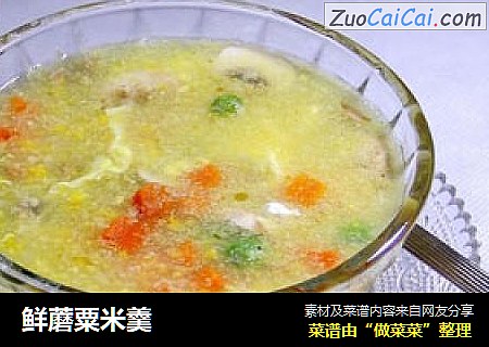 鲜蘑粟米羹