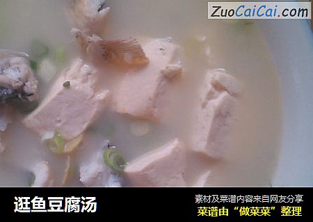逛鱼豆腐汤