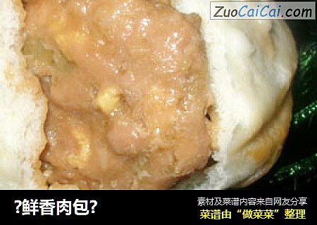 ?鲜香肉包?